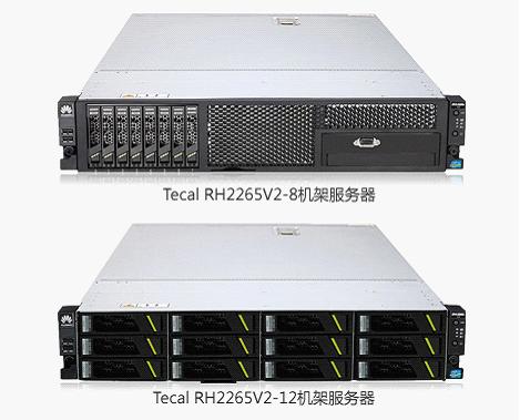 Tecal RH2265 V2 机架服务器